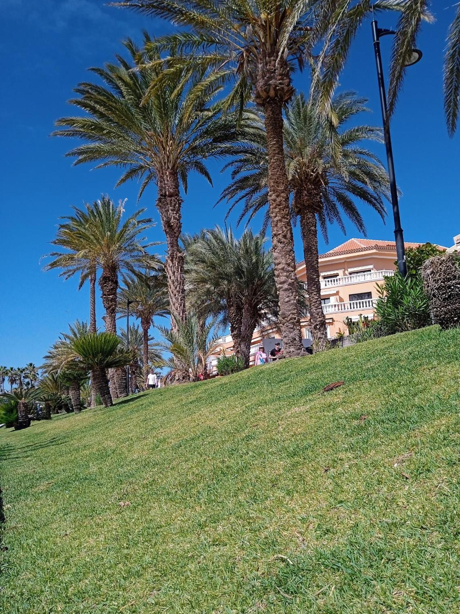 Apartamento Familiar Con Piscina Con Wi Fi En Los Cristianos Los Cristianos  Exterior photo